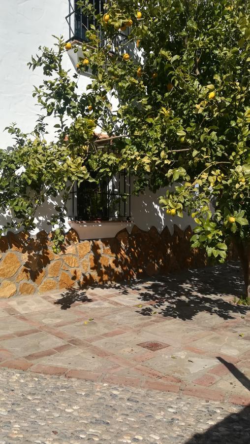 El Penon Villa Zahara De La Sierra Exteriör bild